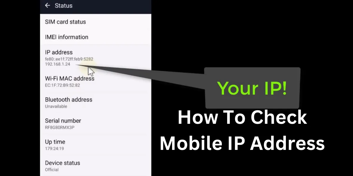 How To Check Mobile IP Address