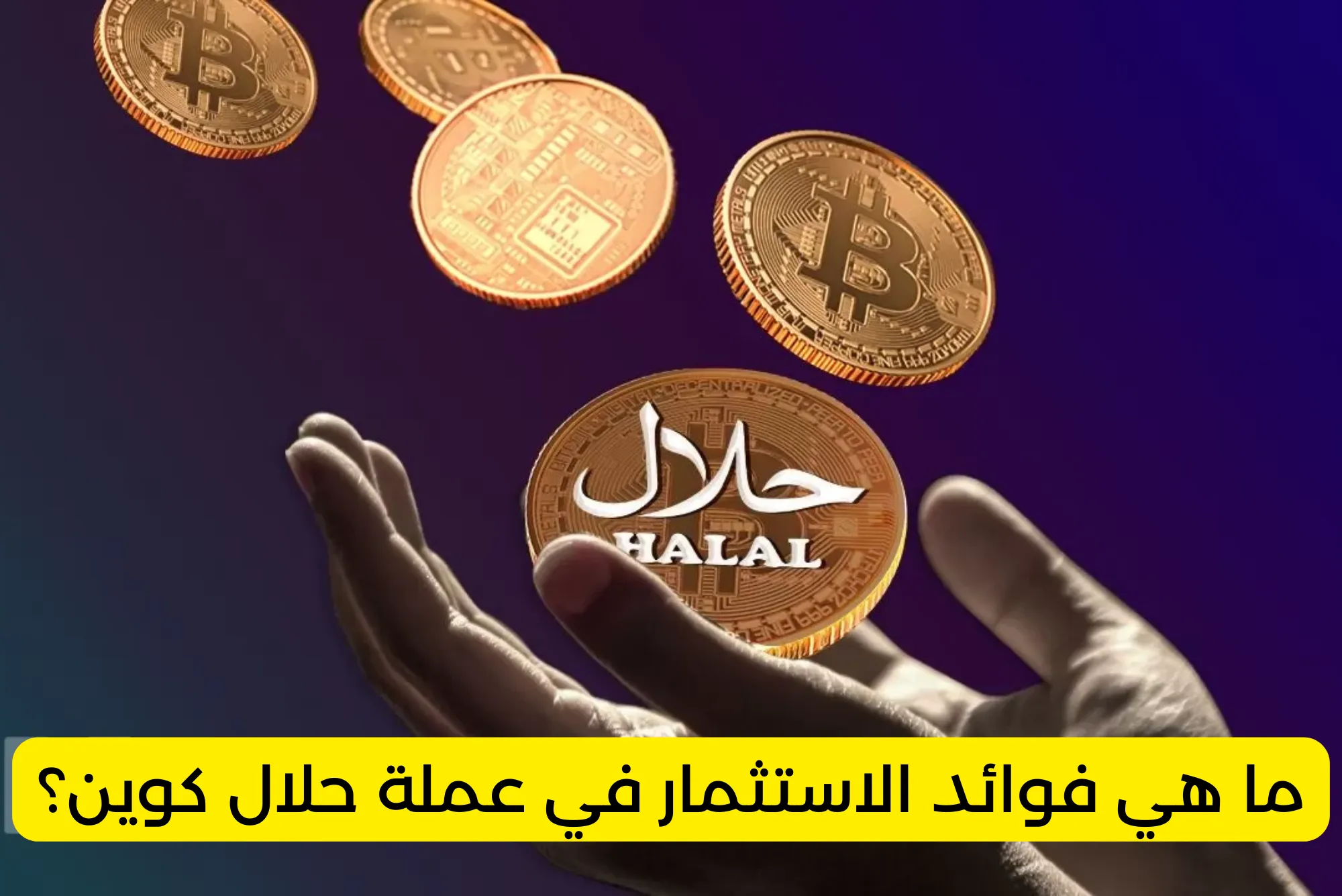 ما هي فوائد الاستثمار في عملة حلال كوين؟