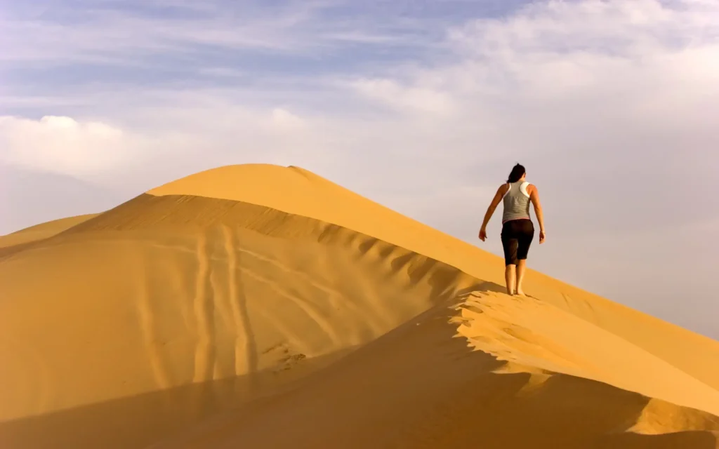 How Many Desert Safari Options Are There in Dubai?