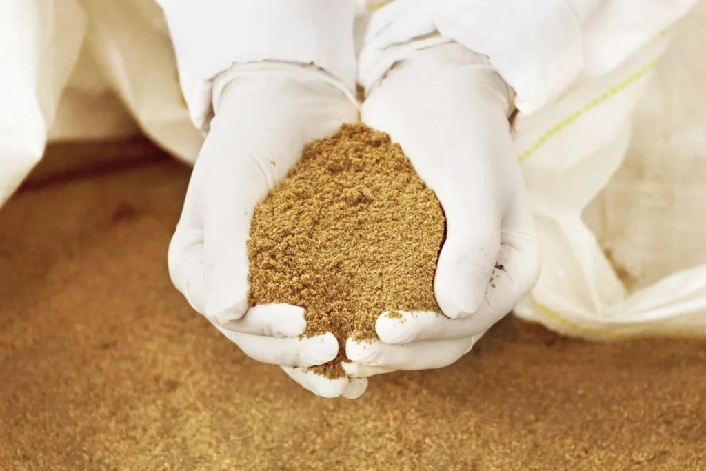 Fish Soluble Paste: Concentrated Protein for Growing Animals