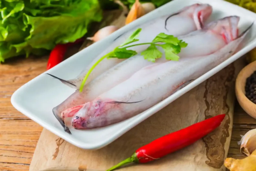 Bombay Duch Fish in Dubai for Beginners: Step-by-Step Buying