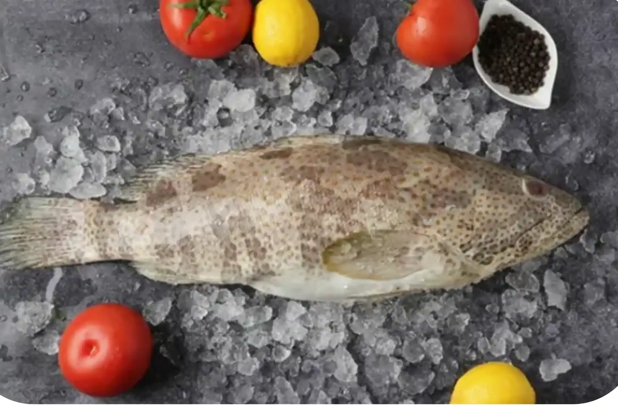 Everything you need to know hamour fish benefits
