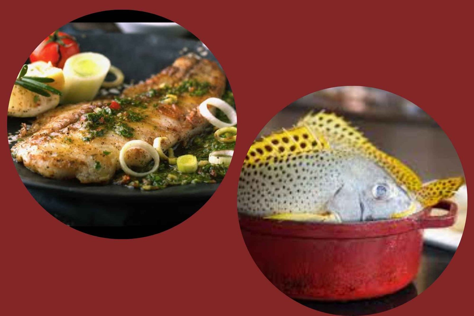 Smart ways to use hamour fish benefits UAE