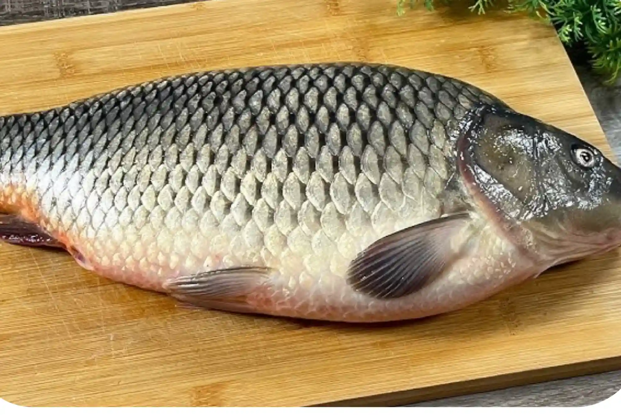 The right way to use hamour fish benefits UAE