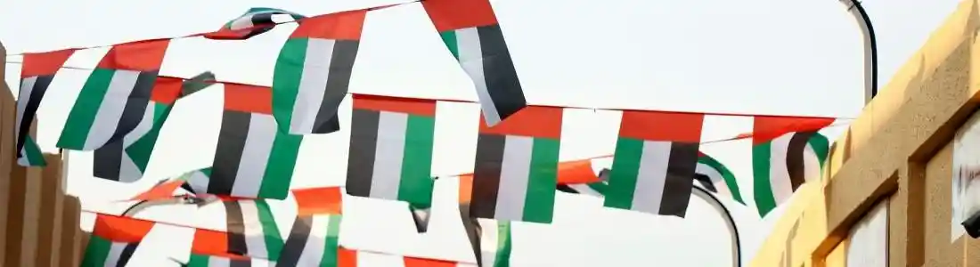 Celebrate the UAE spirit: Top things to do in Dubai this National Day